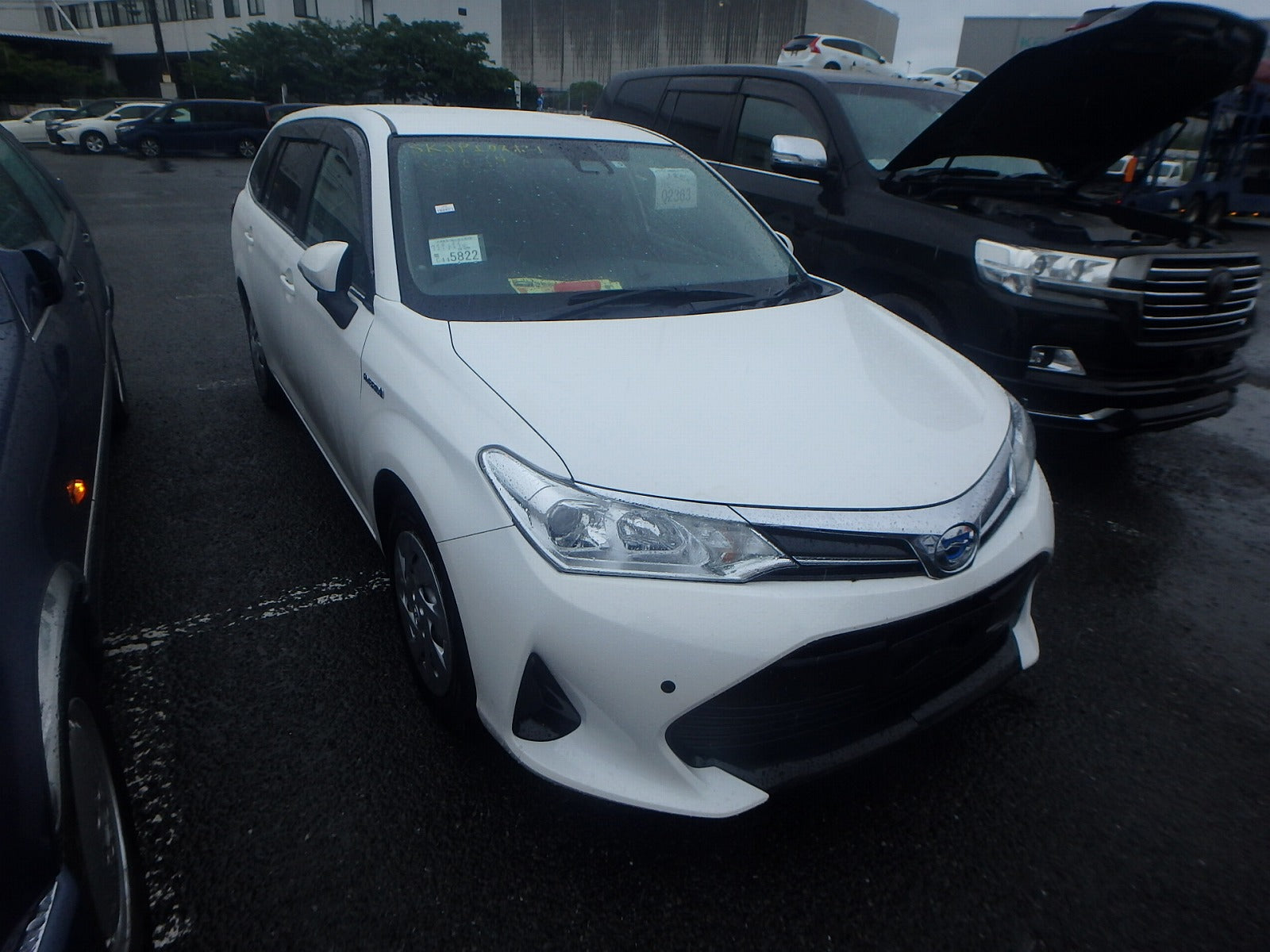 TOYOTA COROLLA FIELDER-2WD-2019