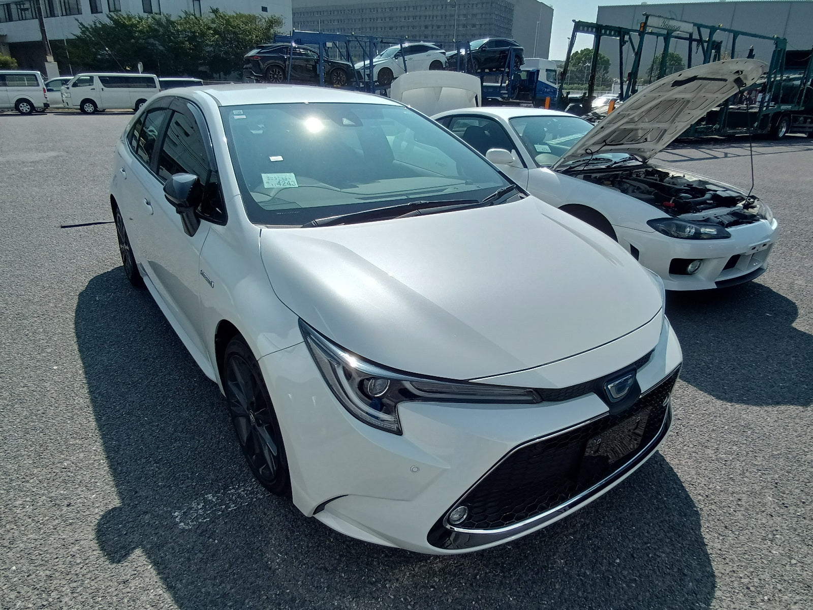 TOYOTA COROLLA-Hybrid WxB-2020