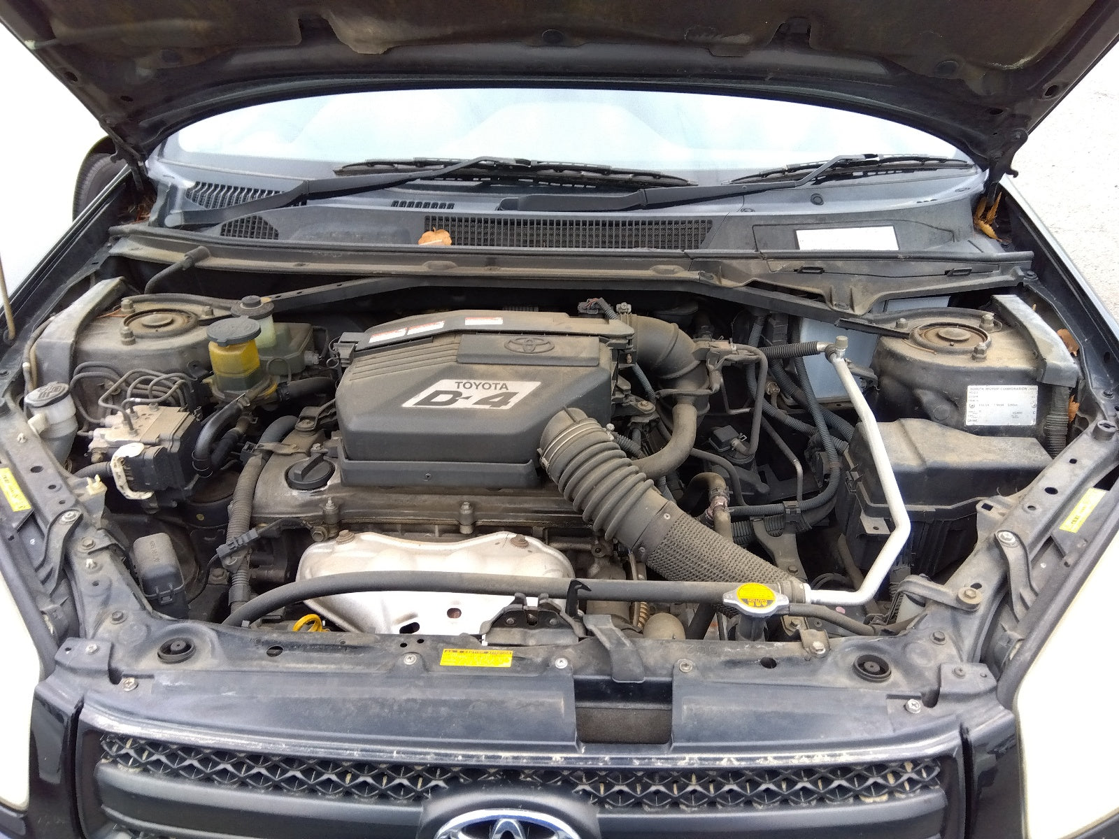 TOYOTA RAV4 - X TYPE LIMITED - 2004