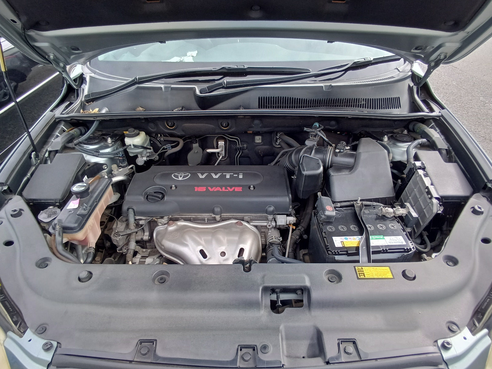 TOYOTA RAV4 2006 green