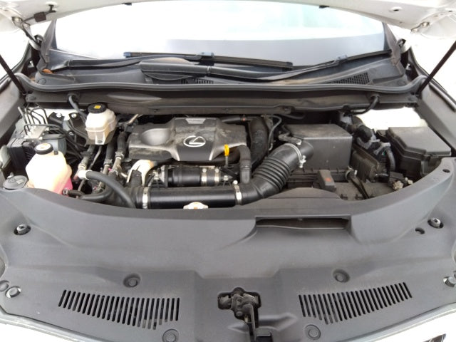 LEXUS RX RX300 F SPORTS PKG - 2018