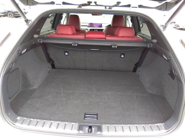 LEXUS RX RX300 F SPORTS PKG - 2018