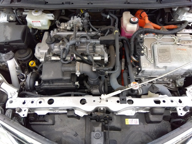 TOYOTA COROLLA FIELDER-HV G-2019