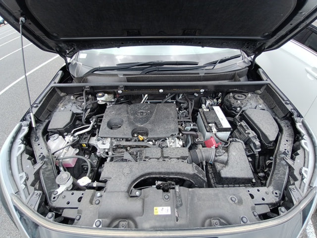TOYOTA RAV4-BLACK TONE X 2021