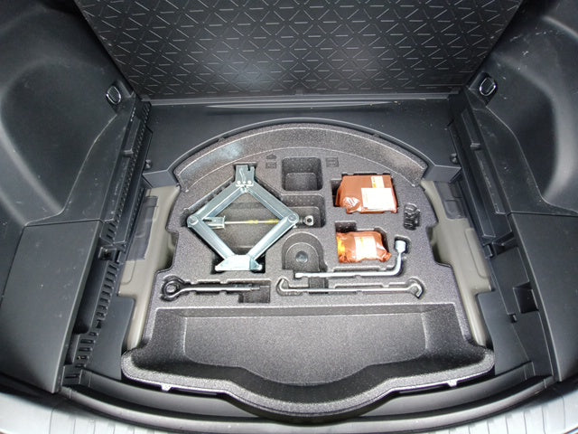 TOYOTA RAV4-BLACK X 2021
