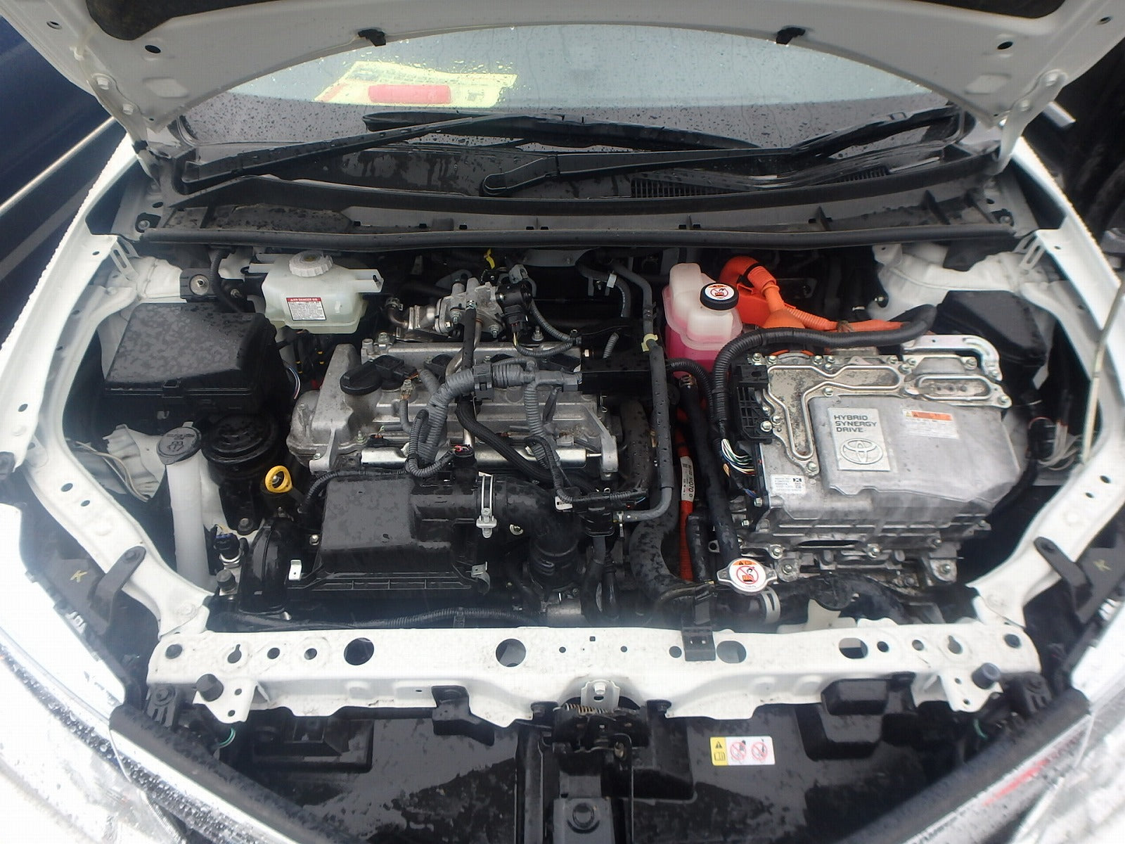 TOYOTA COROLLA FIELDER-2WD-2019