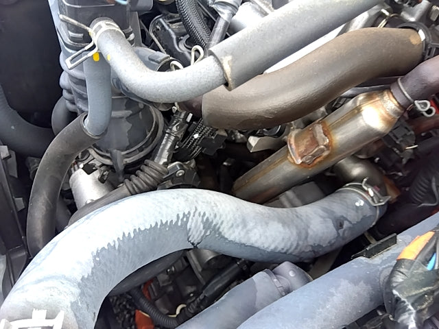 TOYOTA COROLLA FIELDER--HYBRID--2019