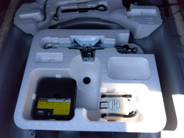 TOYOTA COROLLA AXIO-HYBRID EX-2019