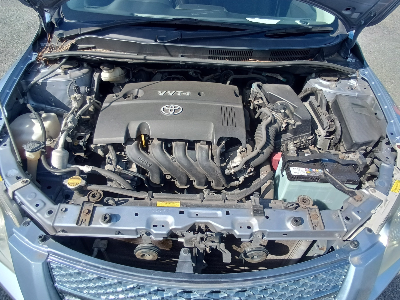 TOYOTA COROLLA FIELDER 2006 LIGHT BLUE