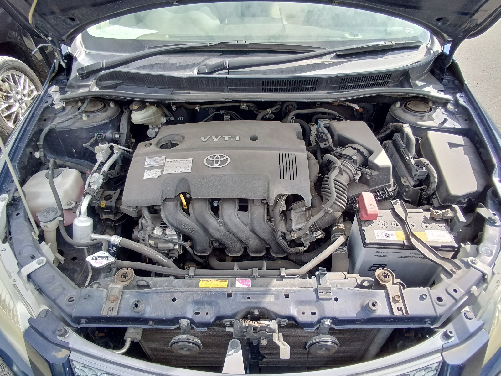 TOYOTA COROLLA FIELDER 2006 NAVY BLUE