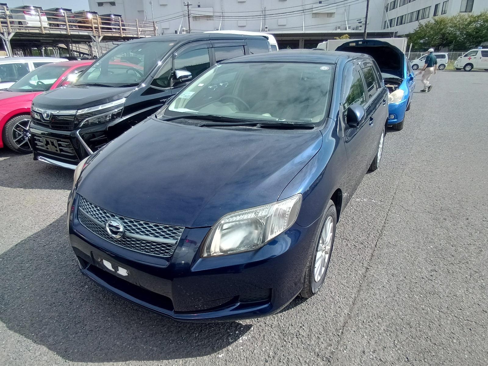 TOYOTA COROLLA FIELDER 2006 NAVY BLUE