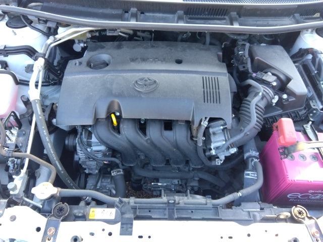 TOYOTA PREMIO-1.5F L PKG-2019