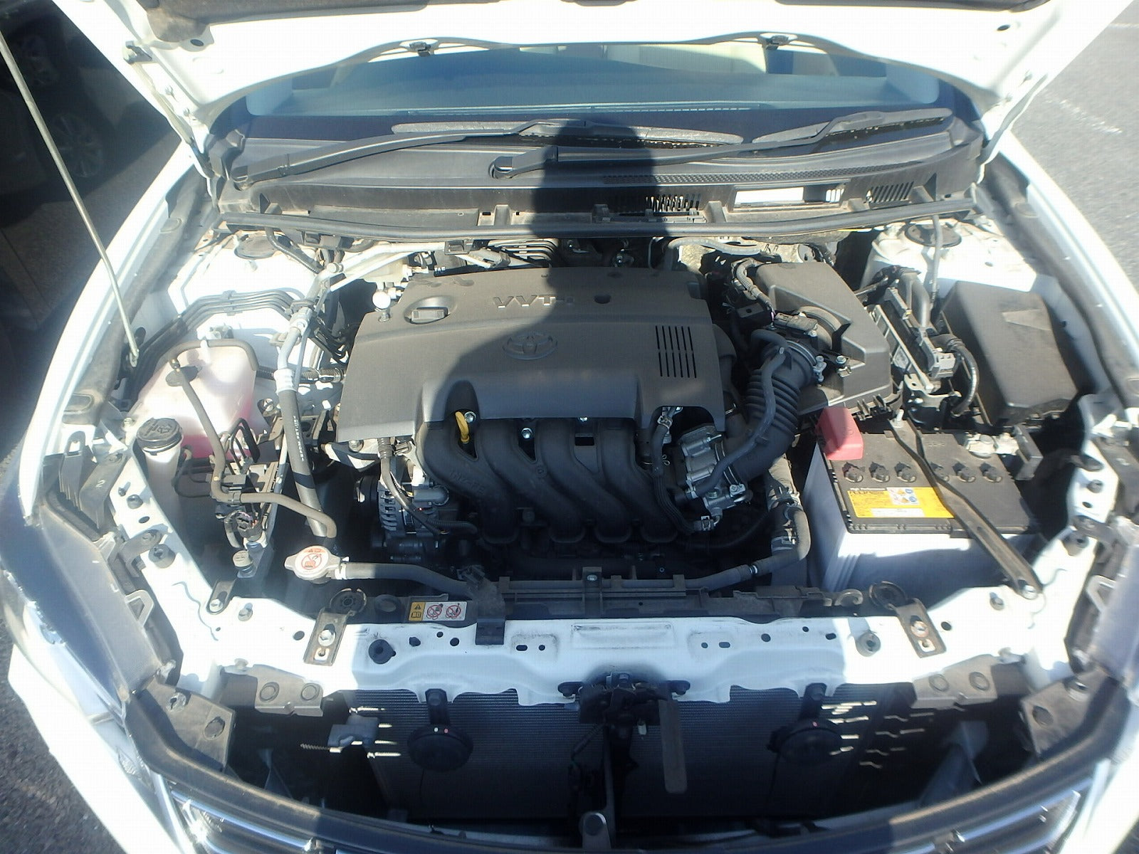 TOYOTA PREMIO-1.5F EX PACK-2020