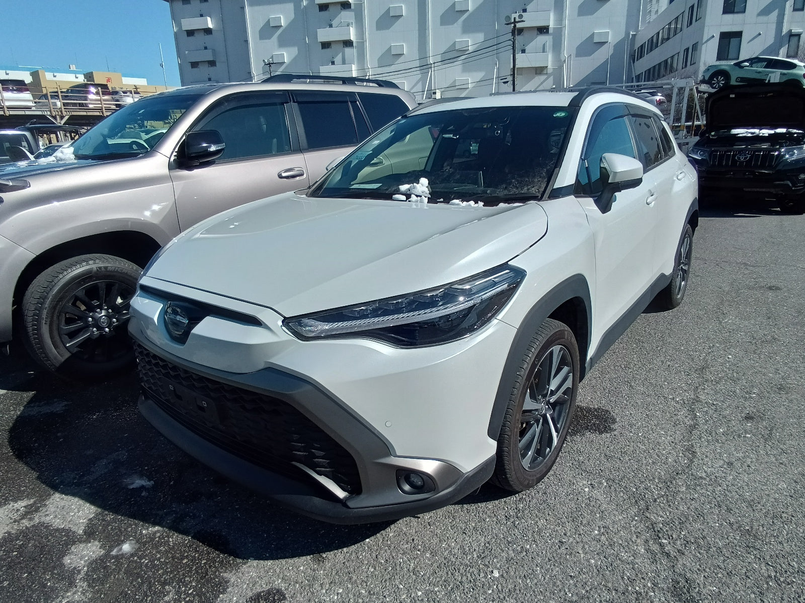 TOYOTA COROLLA CROSS-HYBRID Z PACKAGE-2023 PEARL