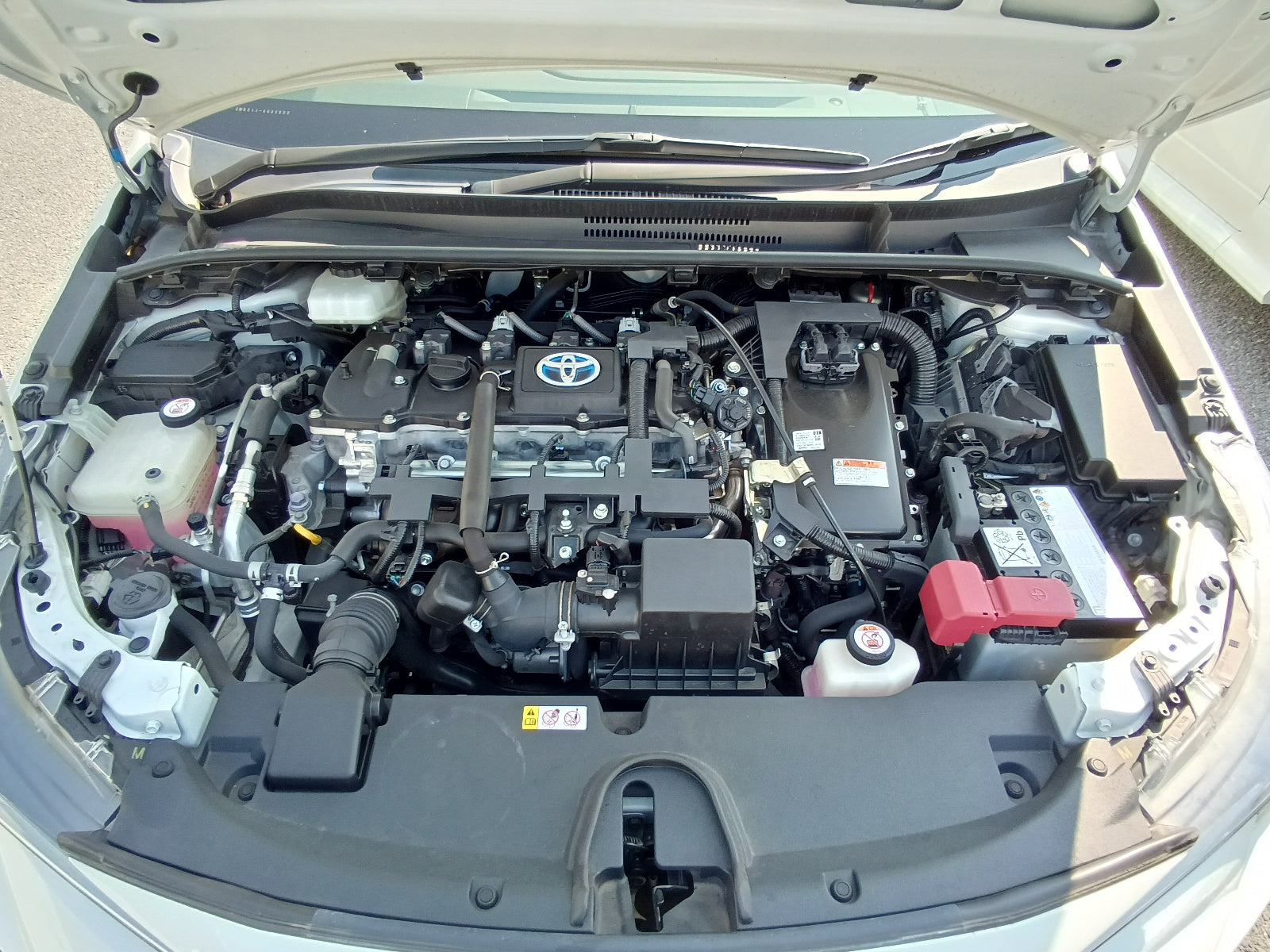 TOYOTA COROLLA-Hybrid WxB-2020