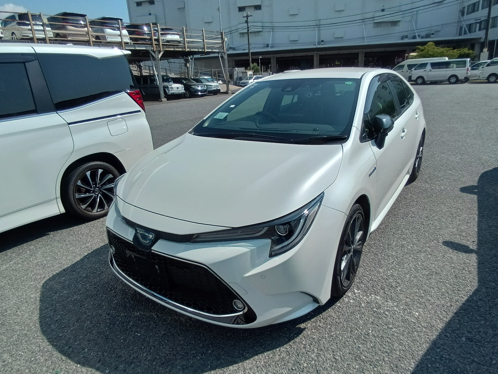 TOYOTA COROLLA-Hybrid WxB-2020