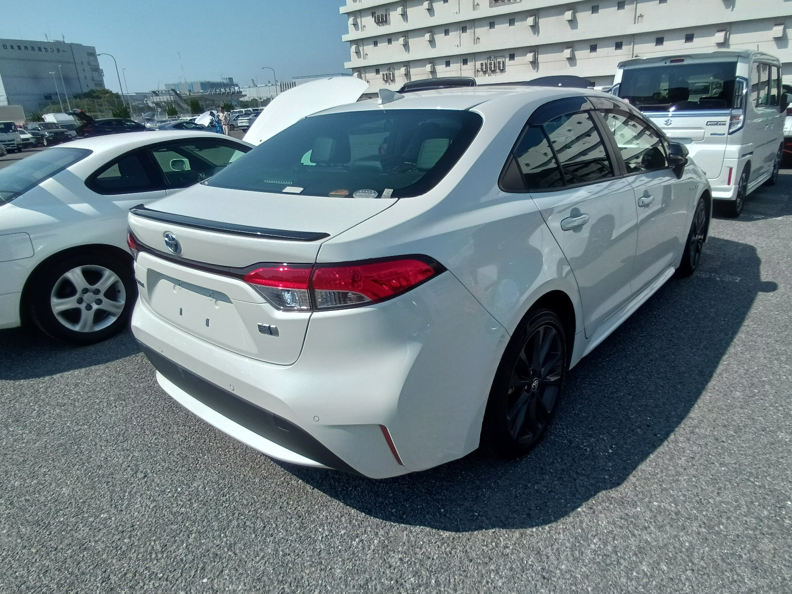 TOYOTA COROLLA-Hybrid WxB-2020