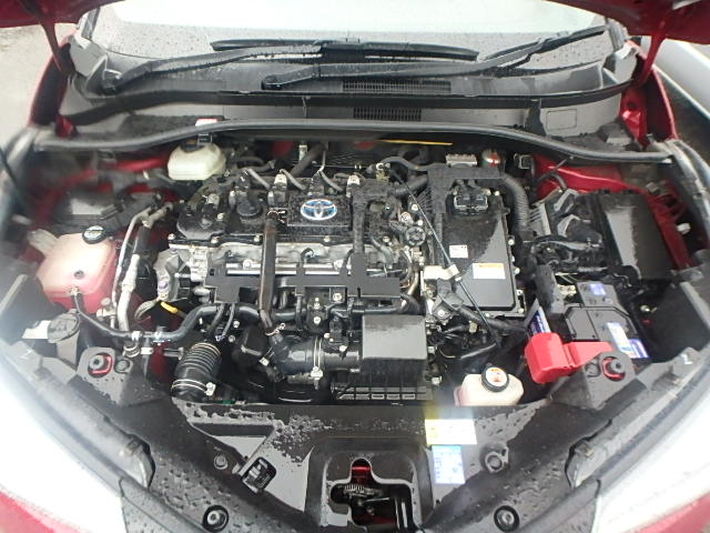 TOYOTA C-HR 2019 G LED