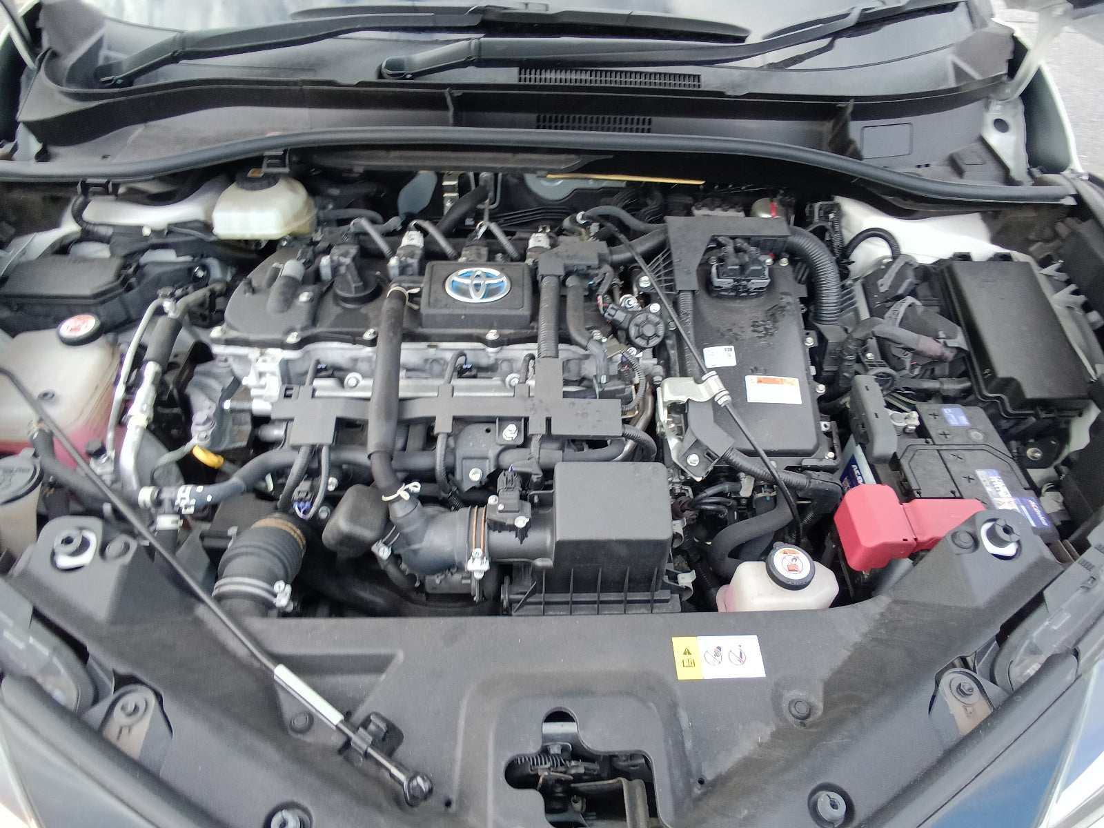 TOYOTA C-HR-G Mode ﾈ Low Safety Plus-2021
