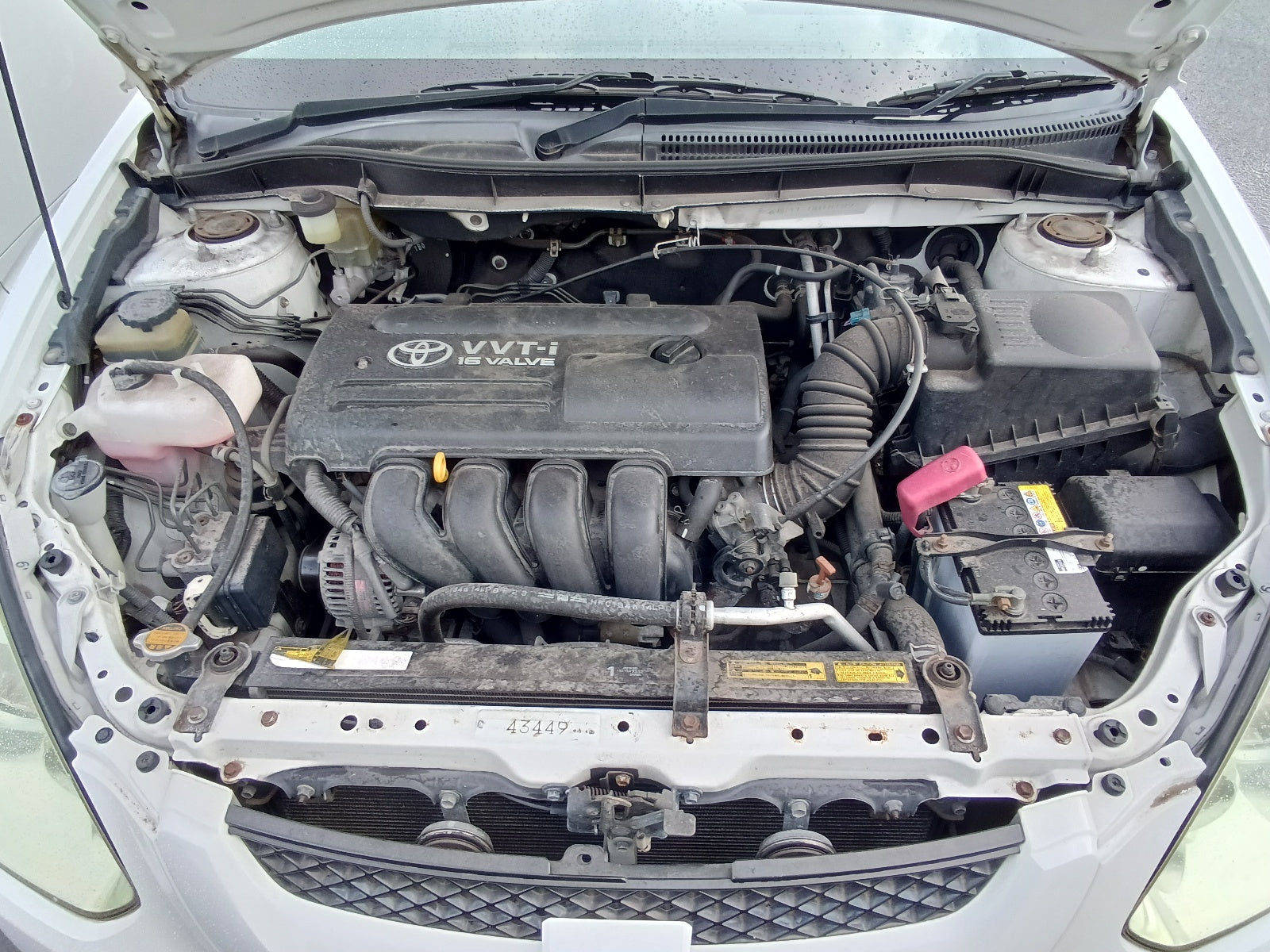 TOYOTA CALDINA-Z L EDITION PEARL-2005