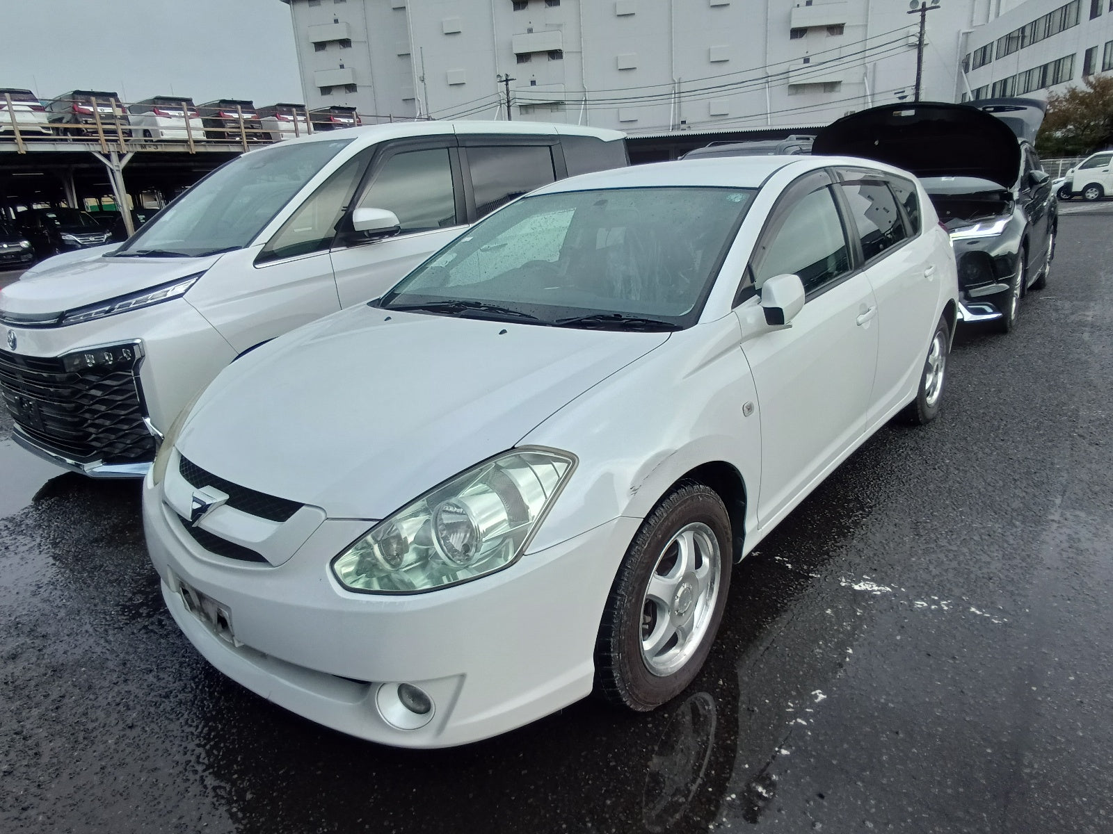 TOYOTA CALDINA-Z L EDITION PEARL-2005
